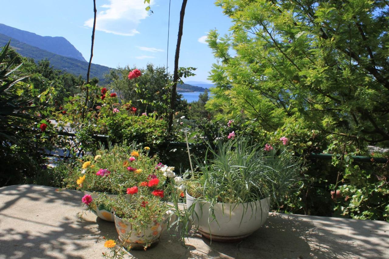 Apartments And Rooms With Parking Space Tucepi, Makarska - 6901 المظهر الخارجي الصورة